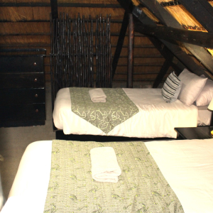 whatsapp-image-2026-02-07-at-15.27.49-22